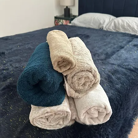 Apartment Cosy A 20 Min De Paris Antony